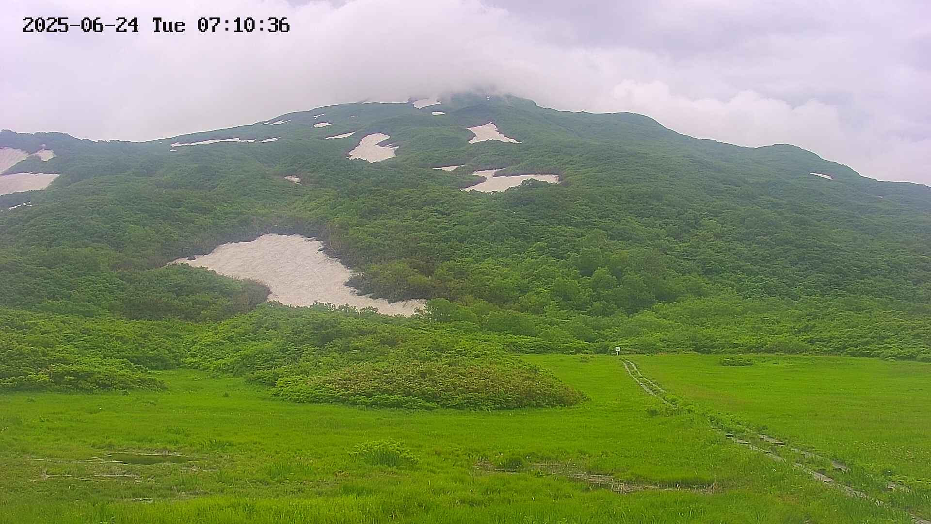 area2-20250624071038.jpg