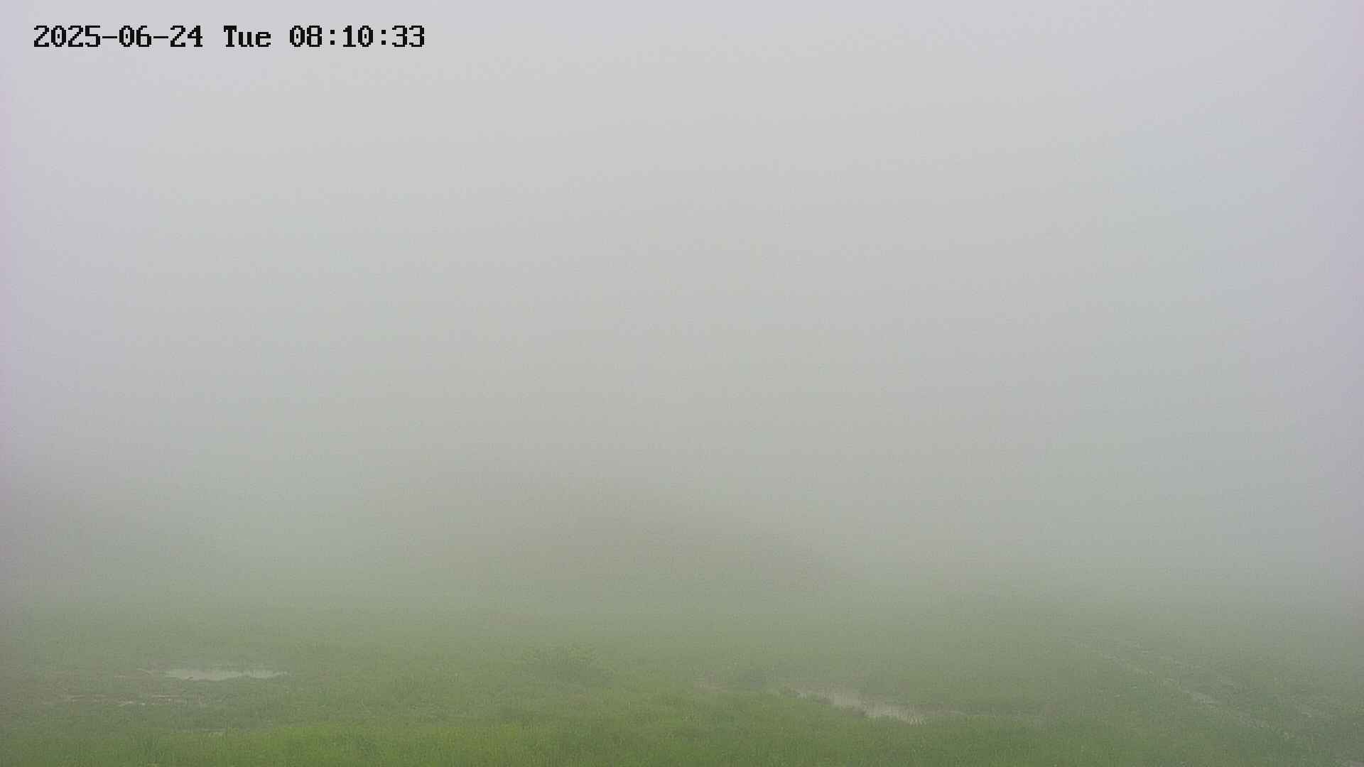 area2-20250624081034.jpg