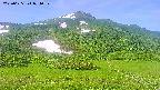 area2-20250625074041.jpg
