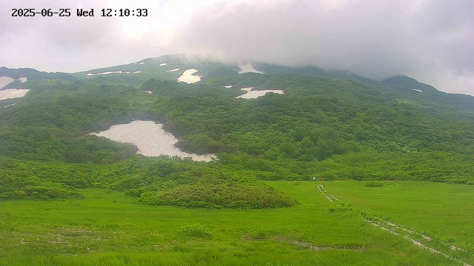 area2-20250625121034.jpg