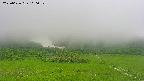 area2-20250626100033.jpg