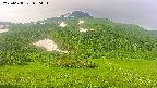 area2-20250628070037.jpg