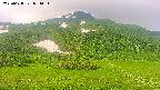 area2-20250628071036.jpg