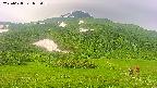 area2-20250628073035.jpg