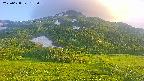 area2-20250628182035.jpg
