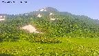 area2-20250629070037.jpg