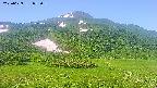 area2-20250629072035.jpg