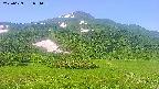 area2-20250629074038.jpg