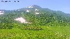 area2-20250629080042.jpg