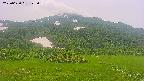 area2-20250630123037.jpg