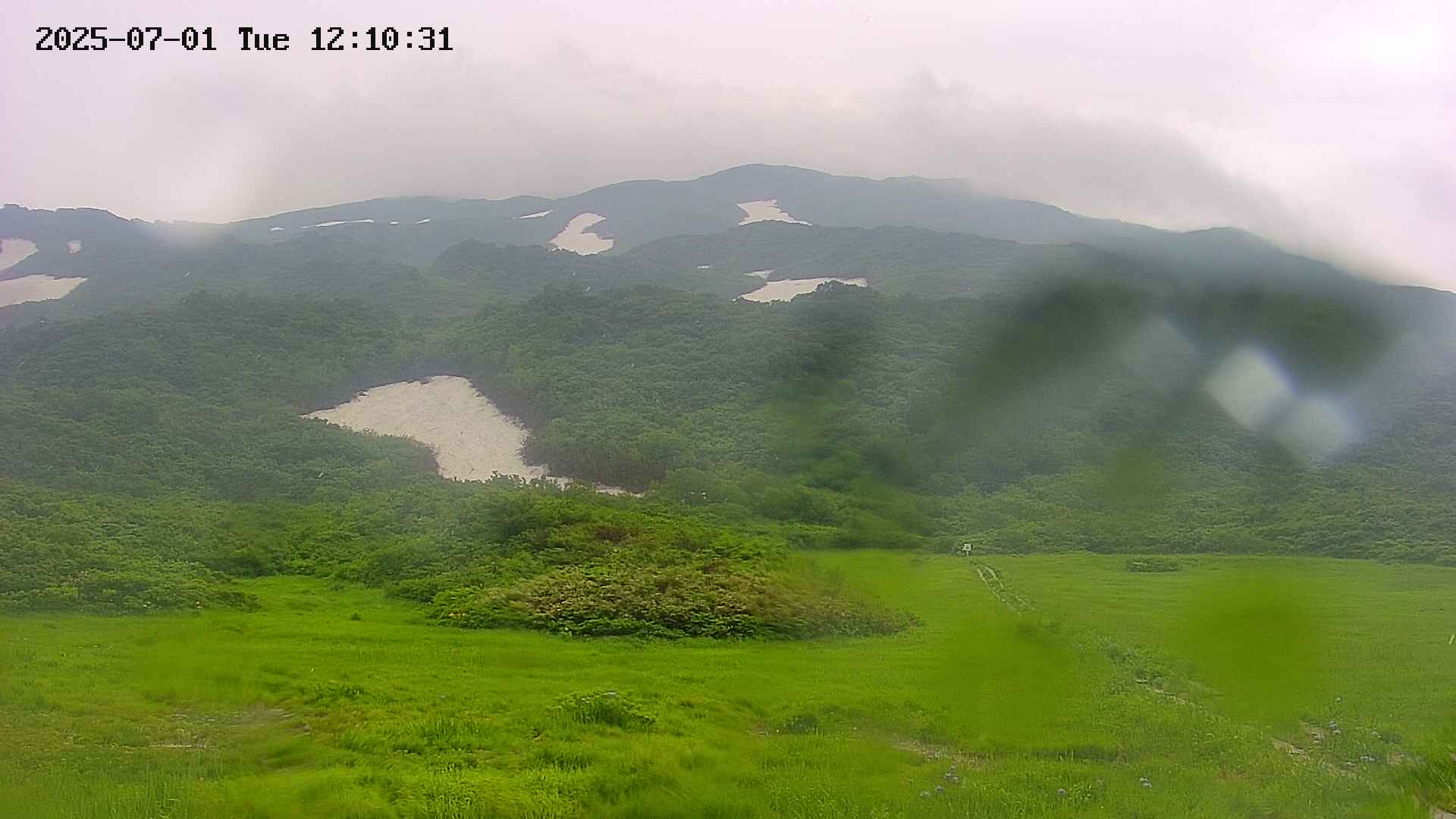 area2-20250701121032.jpg