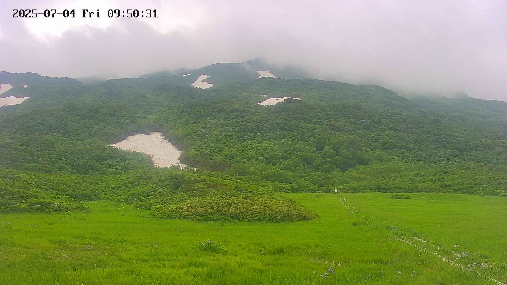 area2-20250704095033.jpg