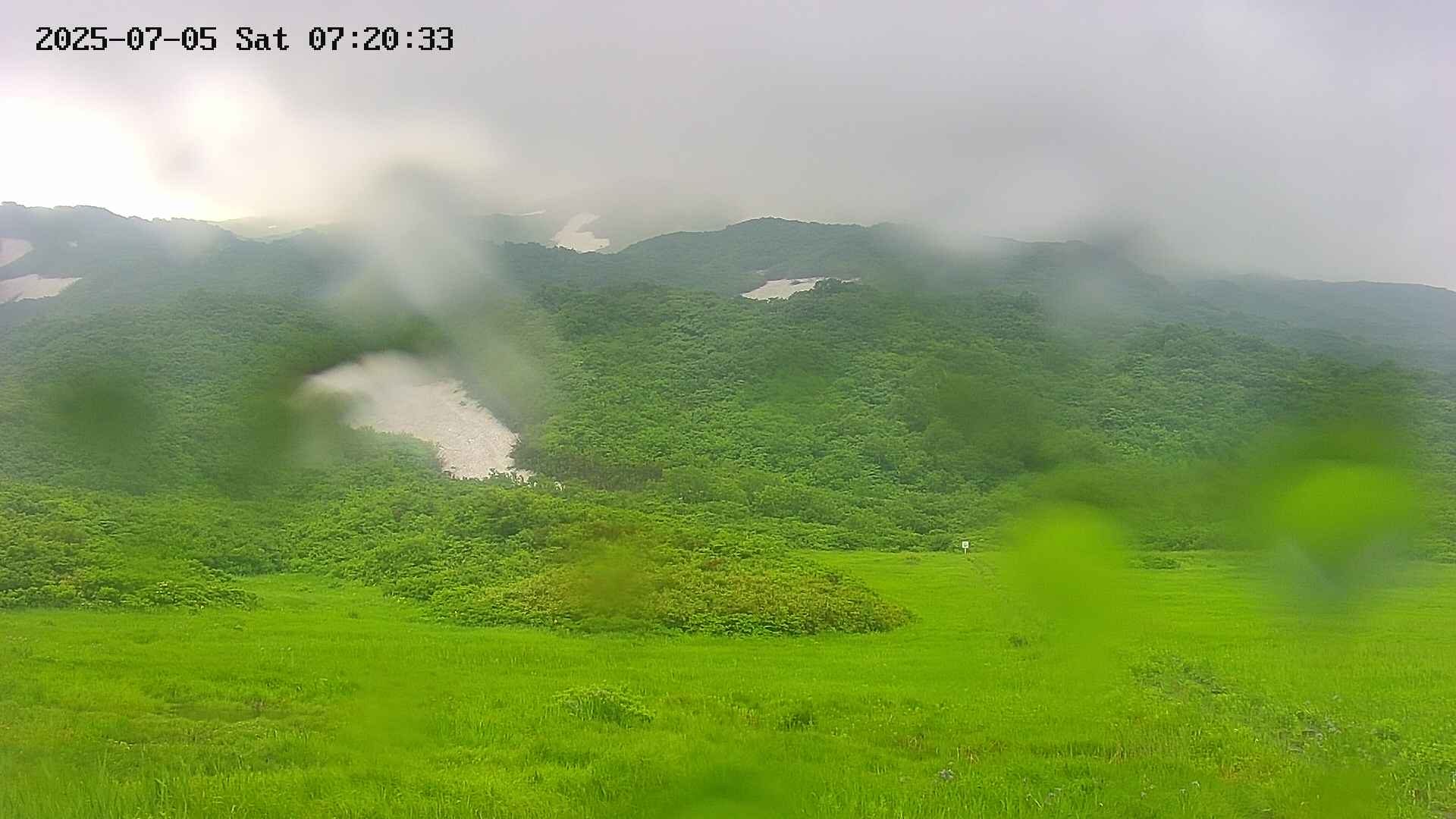 area2-20250705072033.jpg