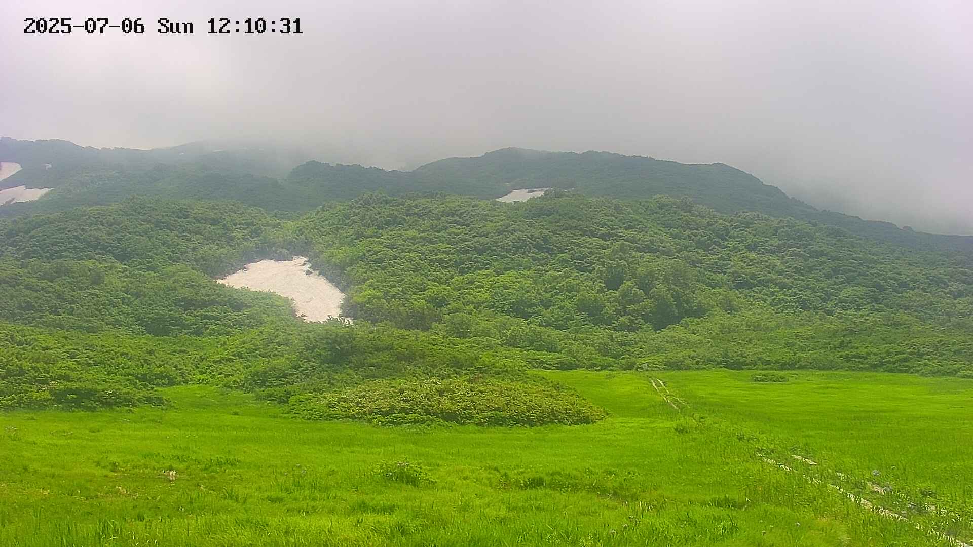 area2-20250706121032.jpg