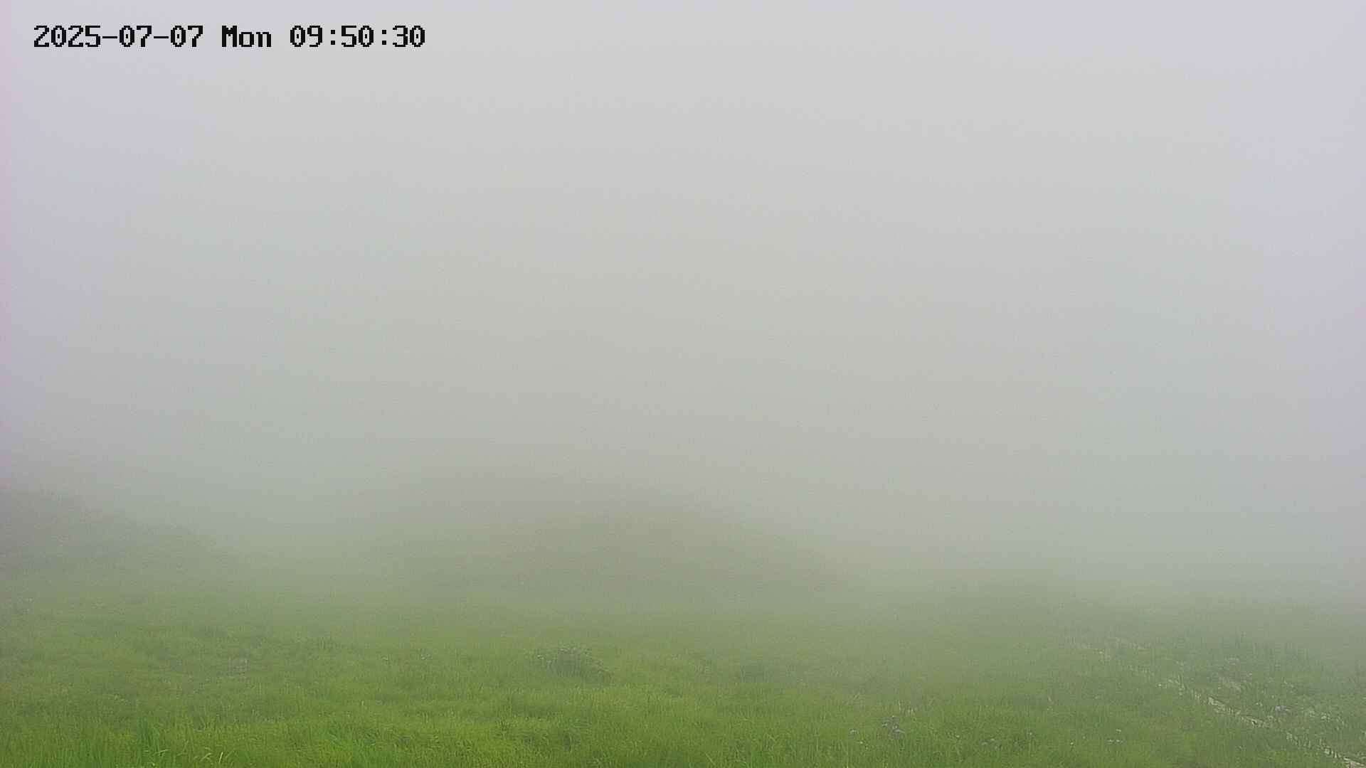 area2-20250707095031.jpg