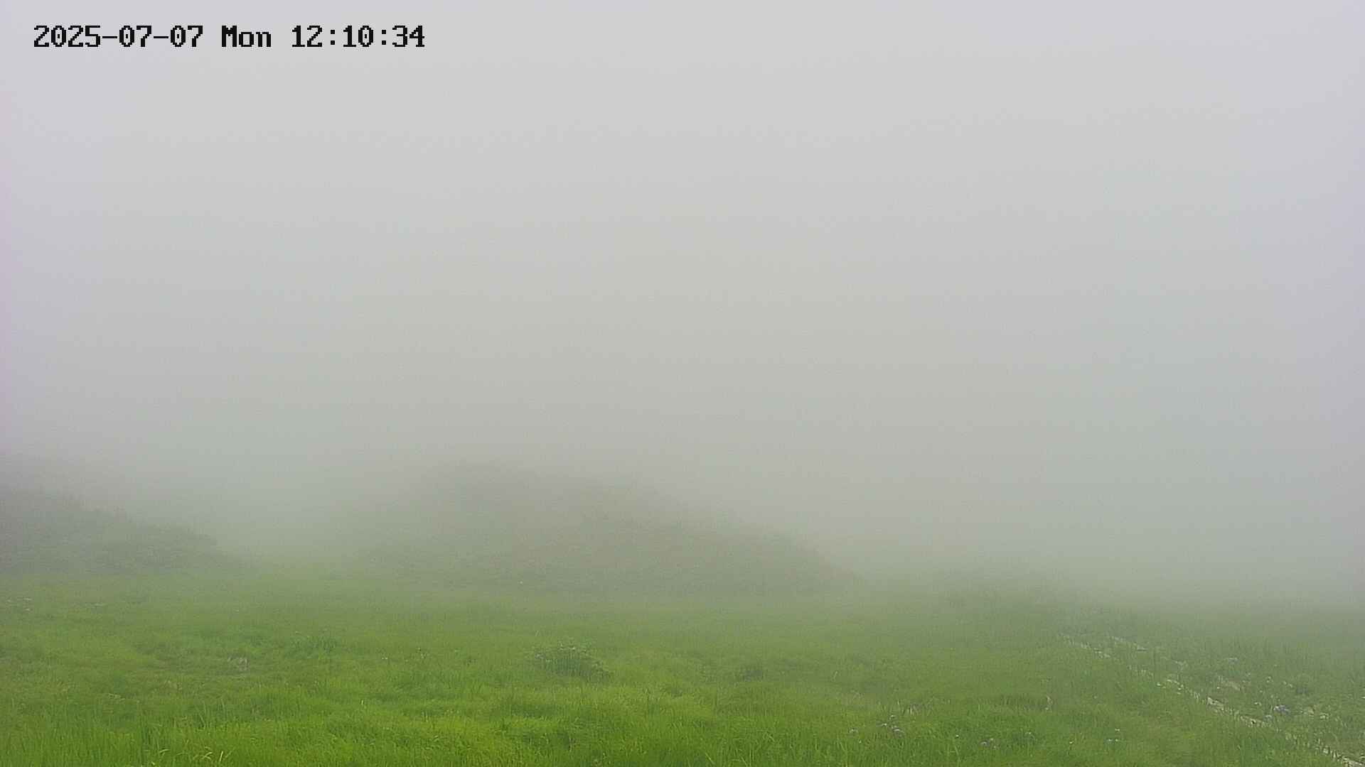 area2-20250707121034.jpg