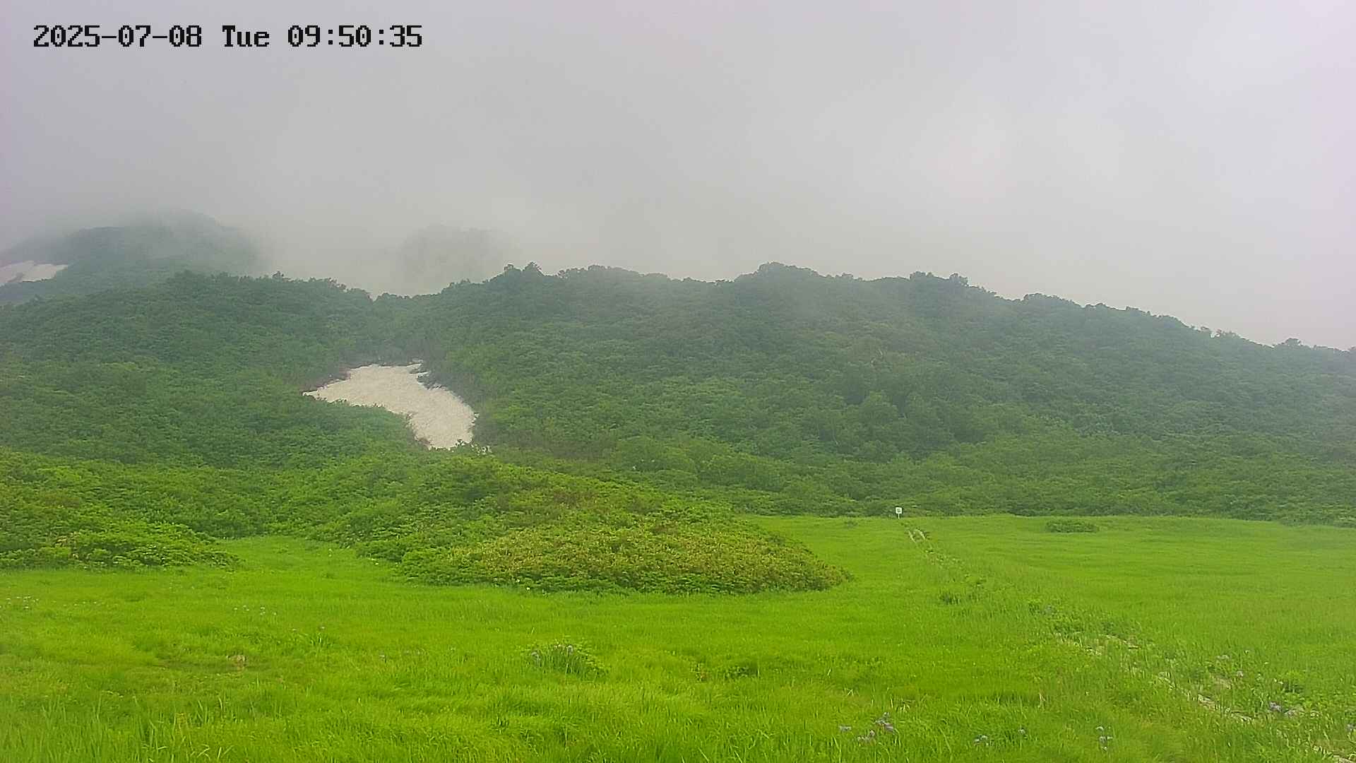 area2-20250708095039.jpg
