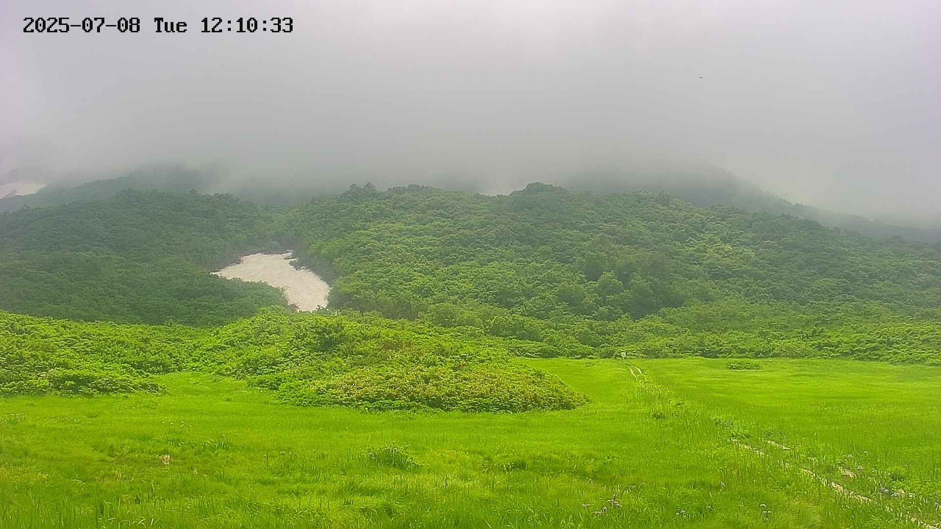 area2-20250708121037.jpg