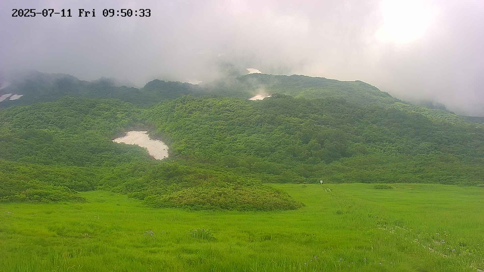 area2-20250711095036.jpg