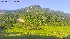 area2-20250713061036.jpg