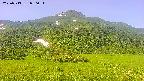 area2-20250713080039.jpg