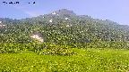 area2-20250713142040.jpg