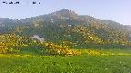 area2-20250713184035.jpg