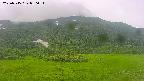 area2-20250715080034.jpg