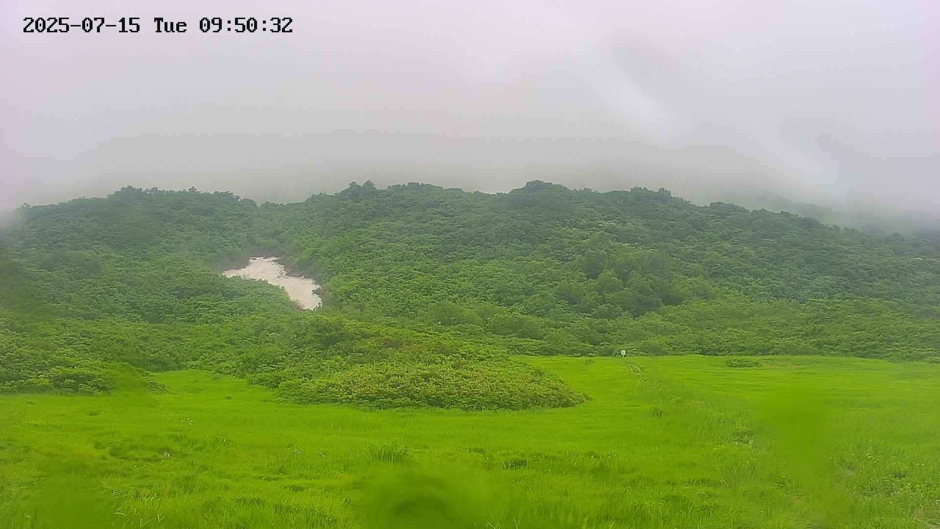 area2-20250715095033.jpg