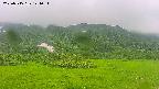 area2-20250715144036.jpg