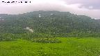 area2-20250717051035.jpg