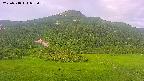 area2-20250718052036.jpg