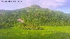 area2-20250718053036.jpg