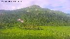 area2-20250718062036.jpg