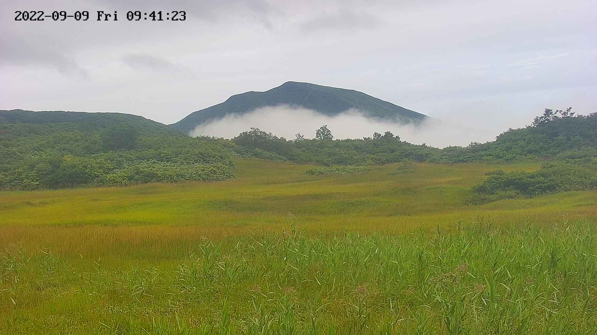 area3-20220909094124.jpg
