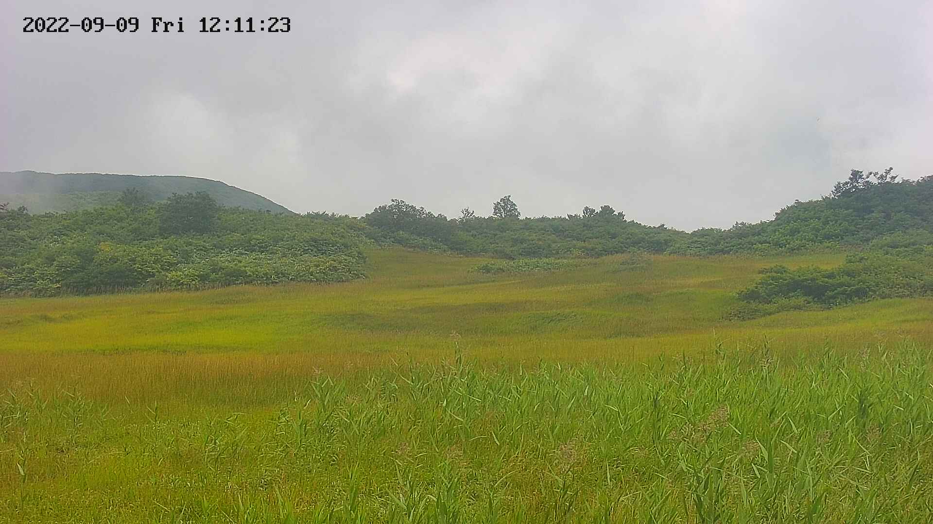 area3-20220909121125.jpg