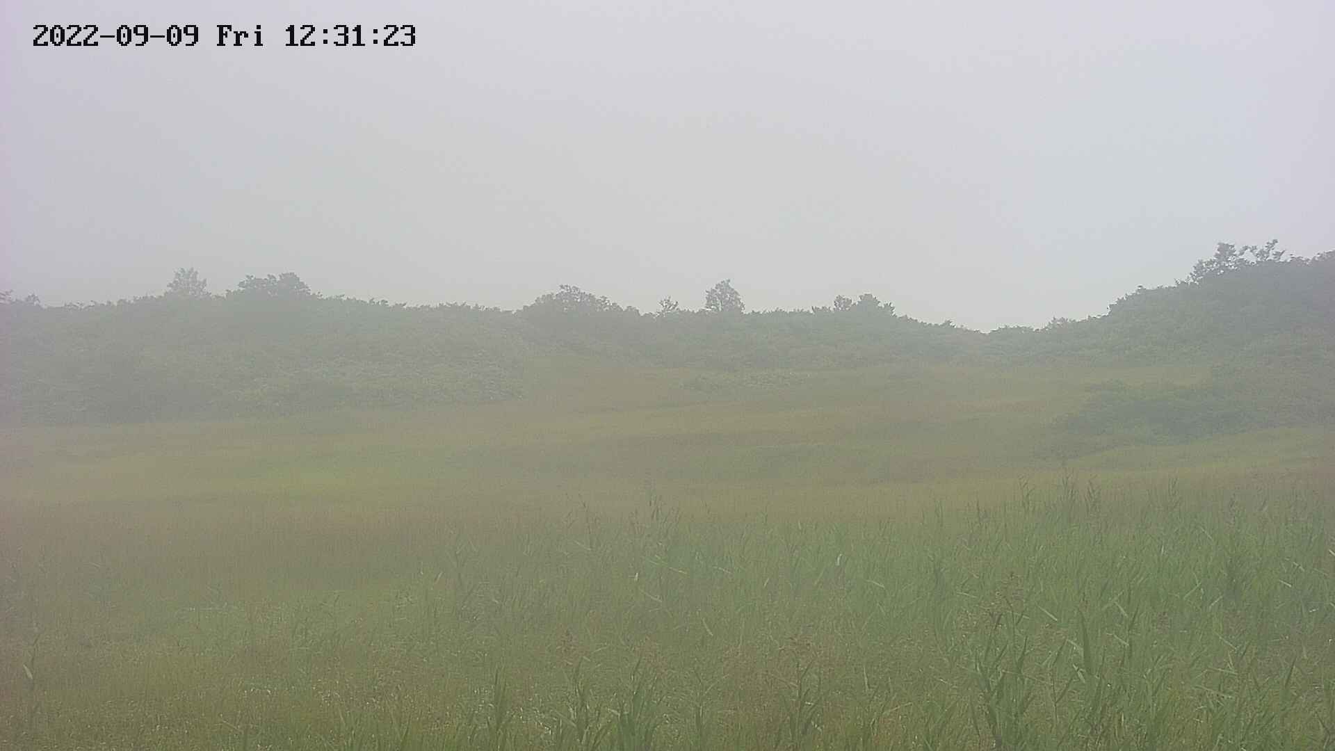 area3-20220909123124.jpg