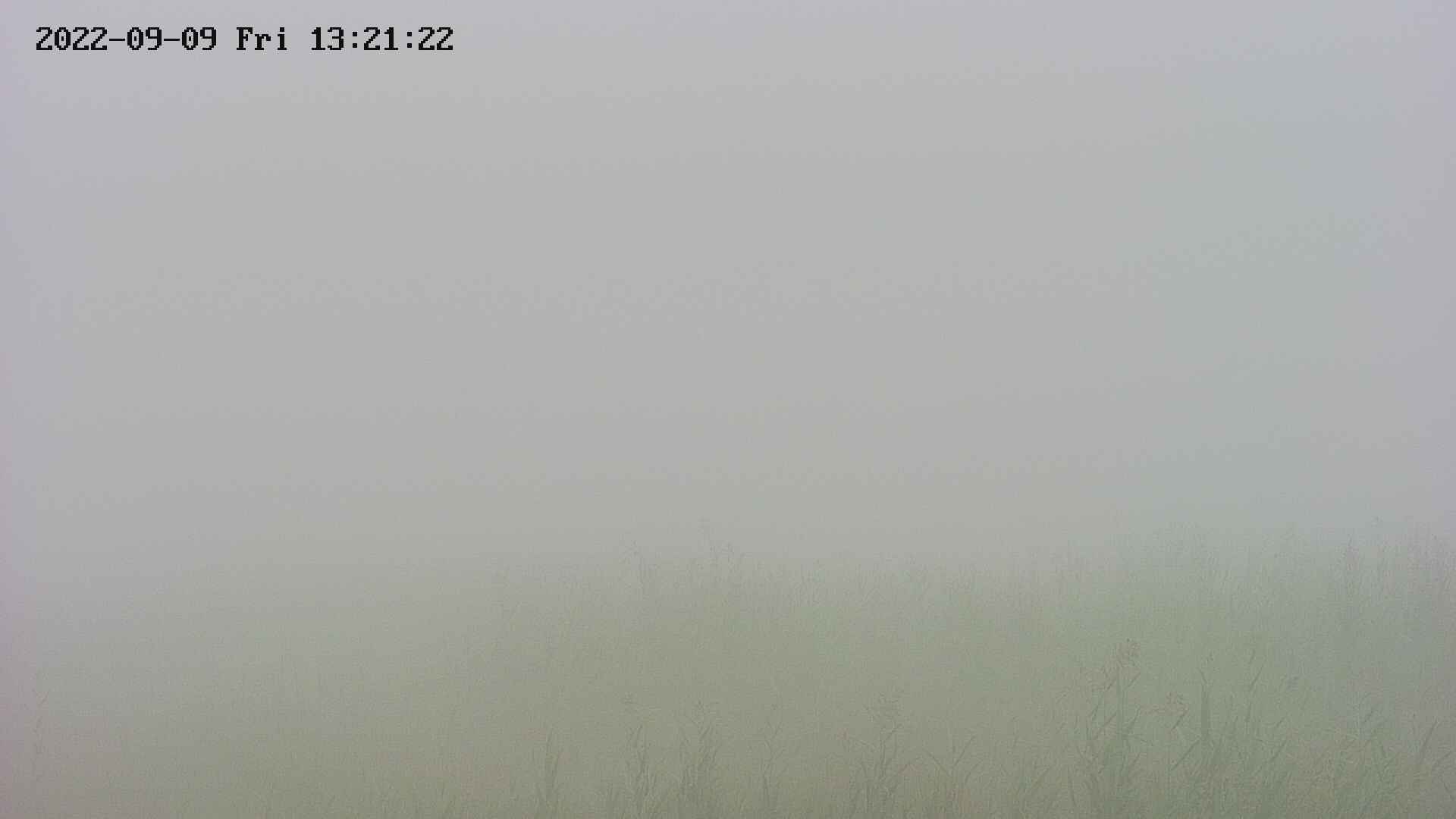 area3-20220909132123.jpg