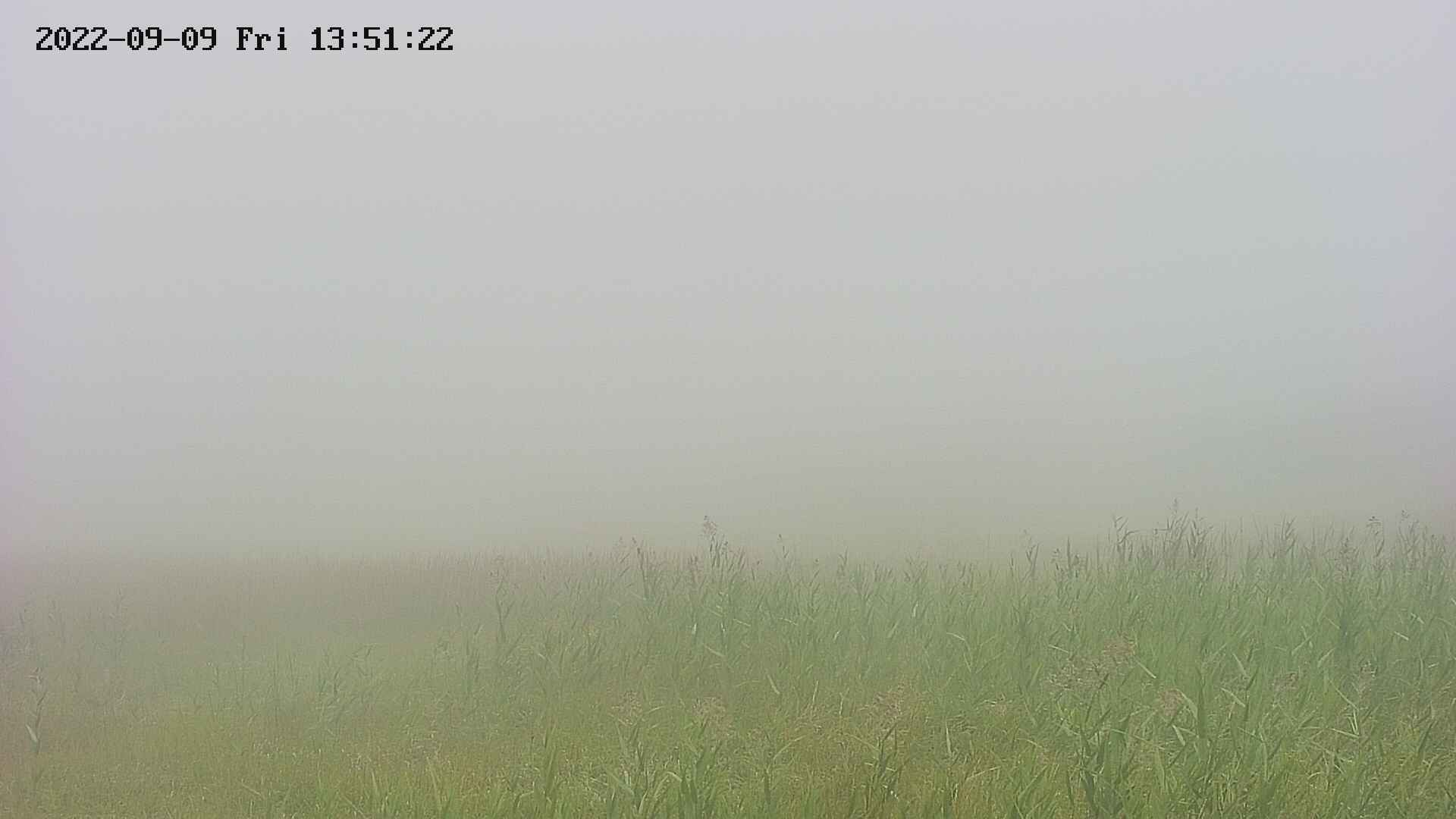area3-20220909135123.jpg
