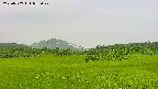 area3-20230707072028.jpg