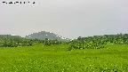 area3-20230707103041.jpg