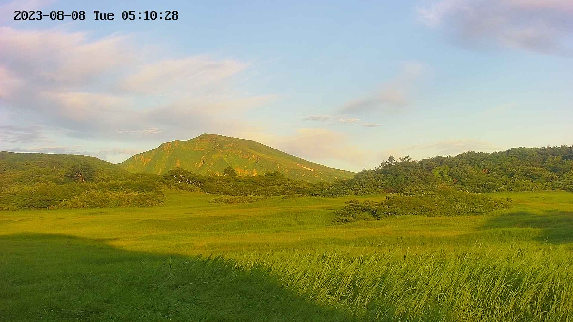 area3-20230808051032.jpg