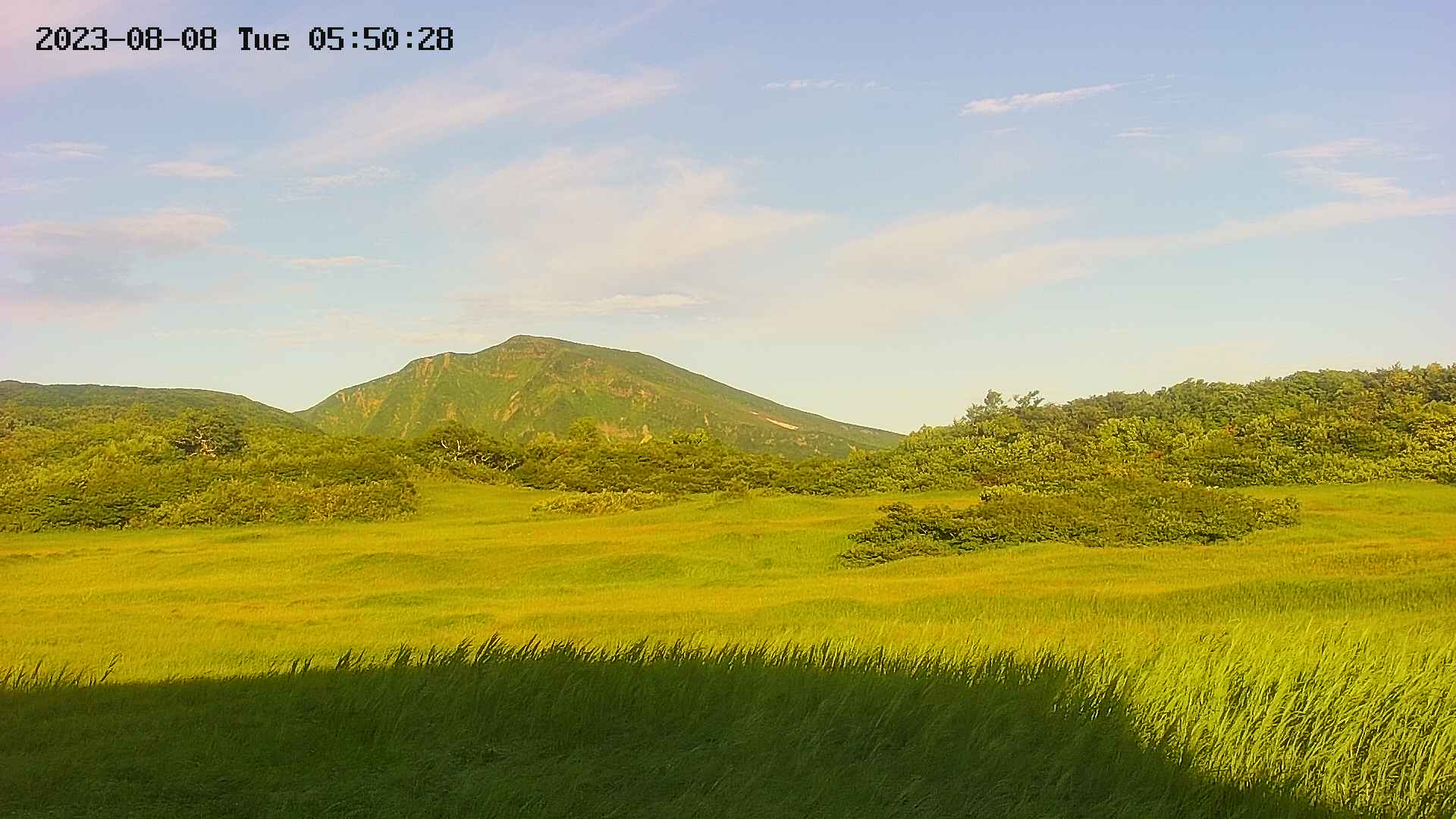 area3-20230808055029.jpg