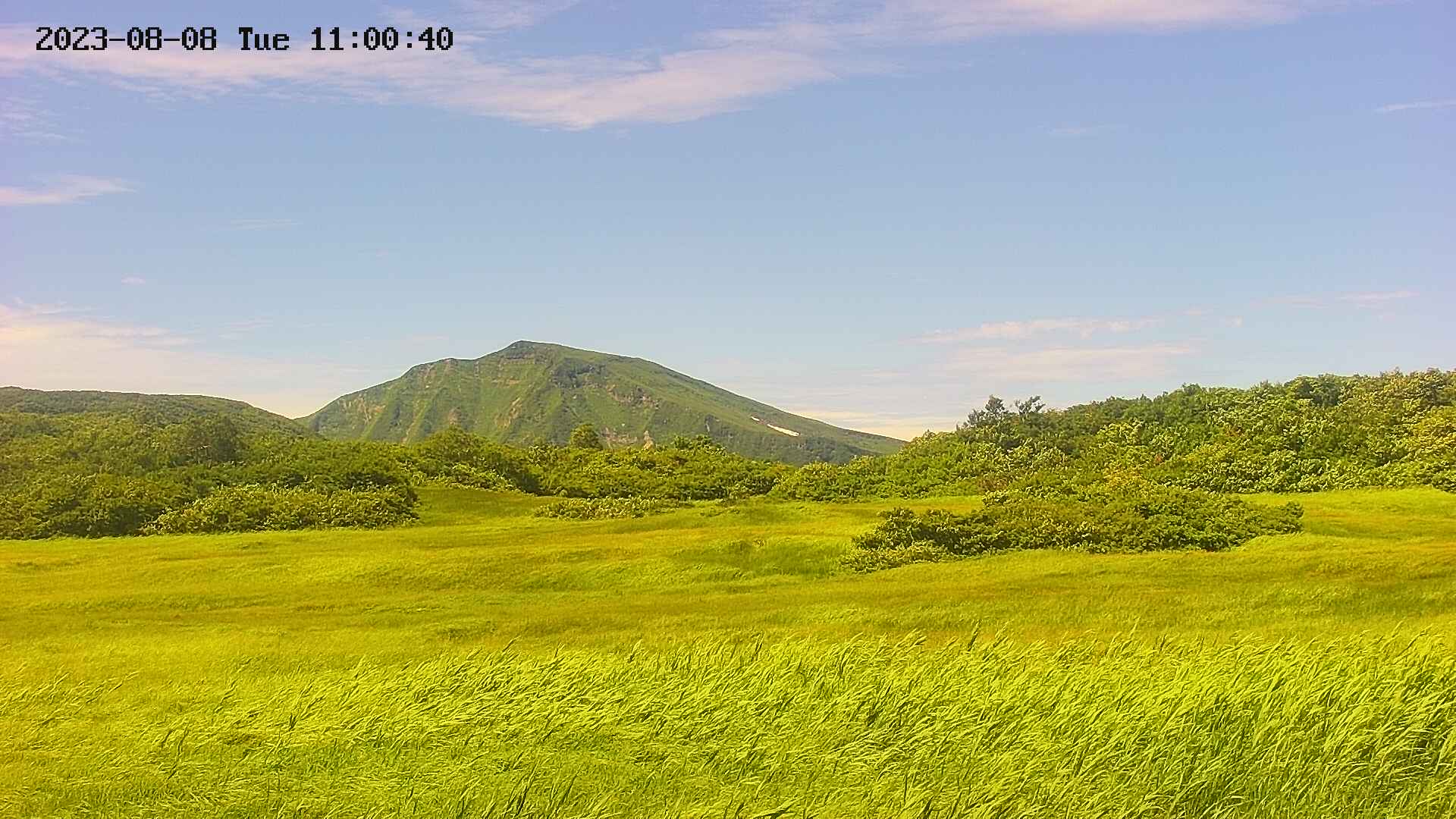 area3-20230808110114.jpg