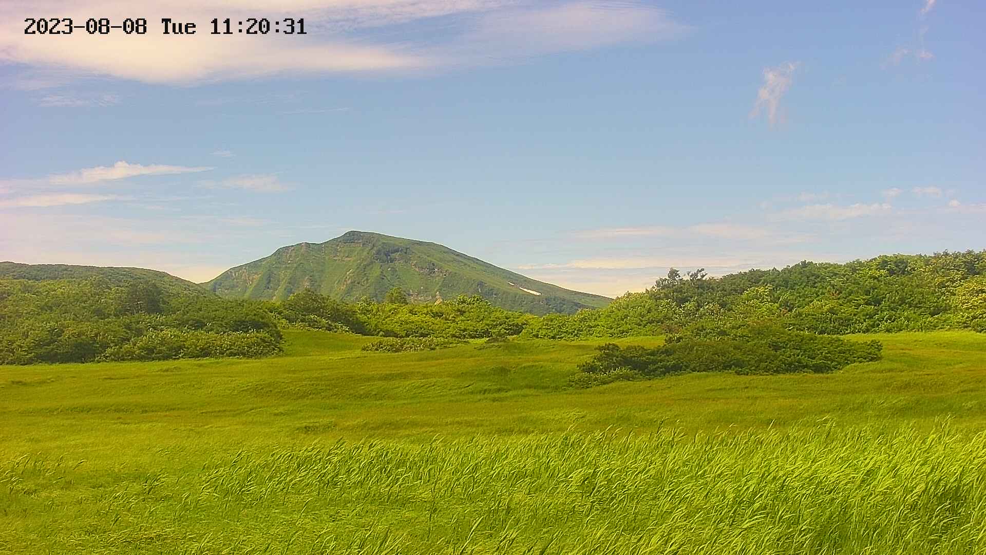 area3-20230808112051.jpg