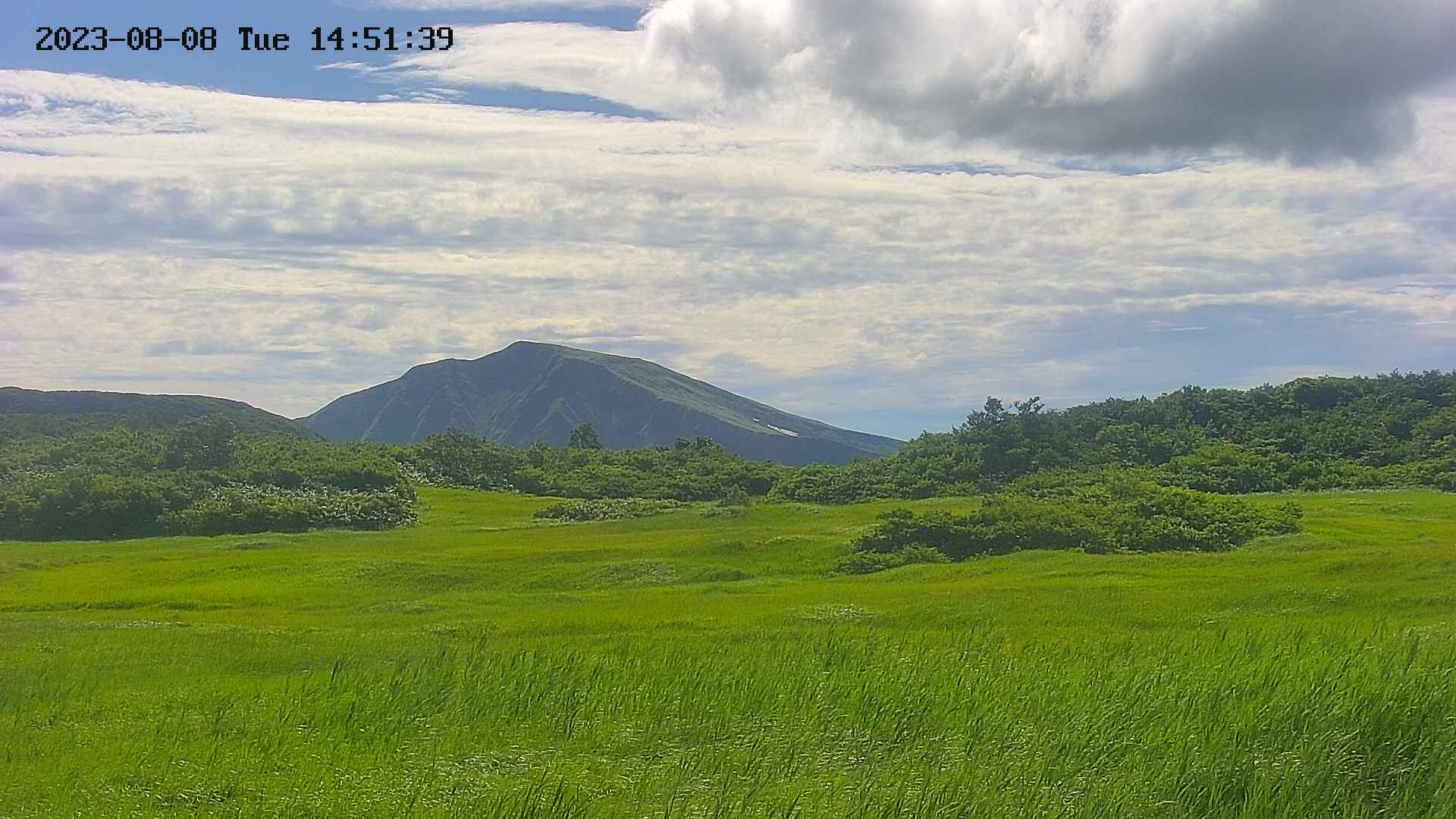 area3-20230808145201.jpg