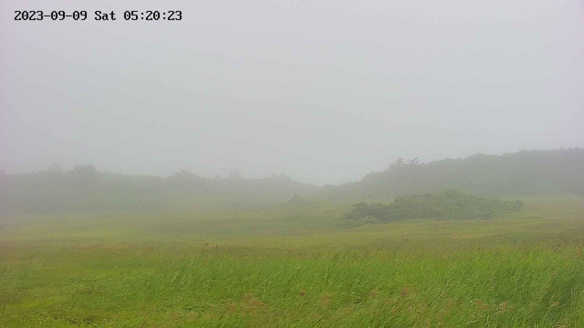 area3-20230909052024.jpg
