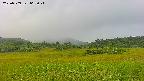 area3-20230909063025.jpg