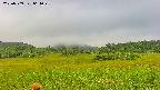 area3-20230909064024.jpg