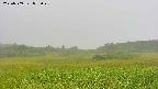 area3-20230909073024.jpg